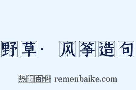 野草·风筝造句是什么意思的图片